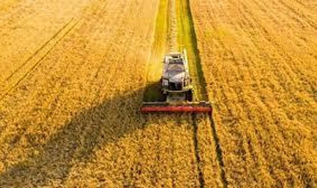 TÜİK: Tarım üretici fiyatları aylık yüzde 0,39 azaldı