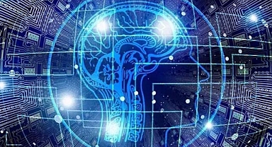 'Yapay zeka sistemleri koyu tenli insanlar için hata yapmaya eğilimli'