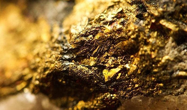 Fransız çiftçinin tarlasında 150 ton altın bulundu
