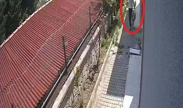 Sahiplendiği köpekleri evde parçalayıp, öldürdüğü iddia edilen doktor tutuklandı; vahşetin bir bölümü kamerada