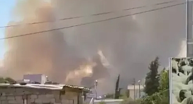 Adana'da orman yangını