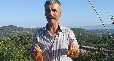 Ailesiyle pikniğe gitti bir anda ortadan kayboldu 