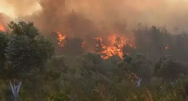 Alevlerle yarış türkiye genelinde yangınlar baş edilemez hale geldi 