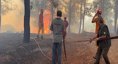 Antalya'da 3 orman yangını kontrol altında 1'ine müdahale sürüyor 