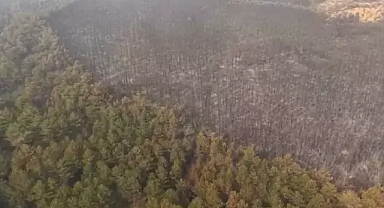 Bursa'da orman yangınında yanan alanlar dronla görüntülendi 