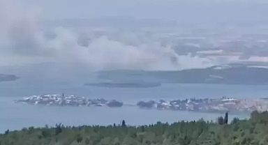 Bursa'da sazlık alanda yangın çıktı 