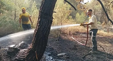 Bursa'da üçüncü gün alevlerle mücadele zorlaşıyor 