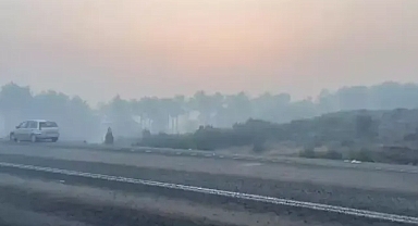 Bursa orhanelin'de orman yangınından dolayı çevreyi duman kapladı 