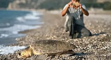 Çıralı sahillerinde duyarlı işletmeler carettalara gönüllü koruma