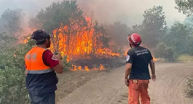 Eskişehir'de orman yangınına müdahale devam ediyor 