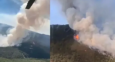 Eskişehir ormanları alevlerle mücadelede zorlu günler yaşıyor 