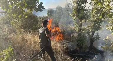 Gabar dağın daki orman yangını 11 satte kontrol altına alındı 