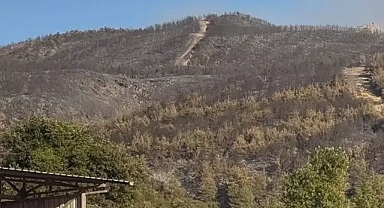 Gevyede ki Orman Yangını Kontrol Altında 