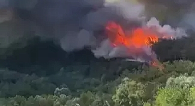 Geyve'nin karaçam bölgesinde alevler yeniden yükseldi 