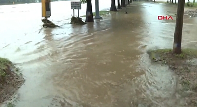 Güney Kore'de Can Alan Yağış