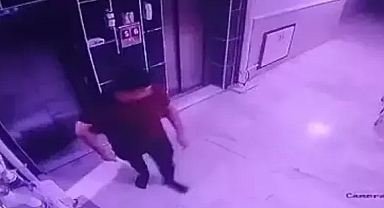 Hayvan zulmü kamerada şüpheli gözaltına alındı 