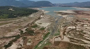 İzmir'de tarımsal üretim alarm veriyor topraklar tükeniyor 