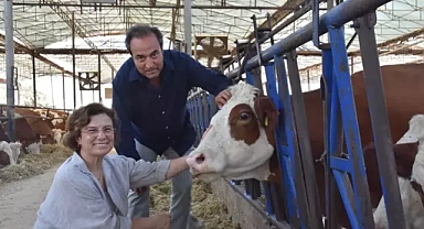 İzmir'de veteriner çift hayvanlarına tanıdıklarının ismini veriyor 