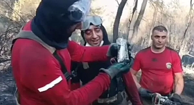  İzmirde ki yangında can mücadelesi veren balığı itfaiye kurtardı 