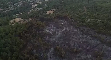 İzmirdeki orman yangınında yanan alanlar görüntülendi 