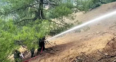 Kahramanmaraş'ta orman yangını 3 gündür sürüyor 