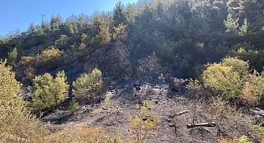Karabük'te orman yangınına müdahale sürüyor 
