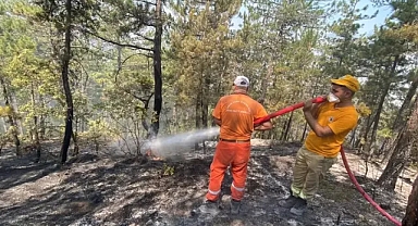 Karabük'te orman yangınıyla gece gündüz mücadele 