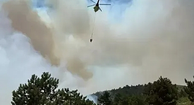 Konya'da orman yangını