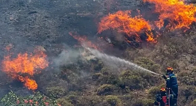 Kuzey makedonya da orman yangınlarından dolayı kriz durumu ilan edildi 