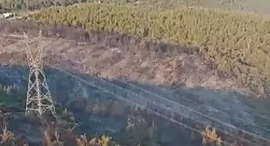 Manisa yanıyor orman yangını 2'nci gününde 