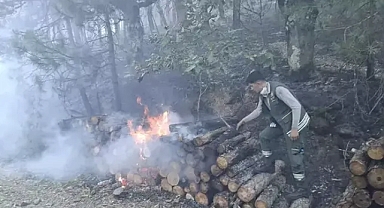 Motorlu testereden sıçrayan kıvılcım ormanı yakmış 1 tutuklama 