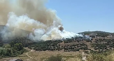 Muğla da tarım arazisinde yangın çıktı 