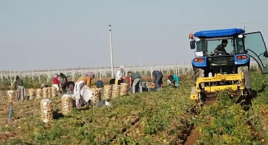 Niğde de patetes hasadı başladı kilosu tarlada 10 12 tl 