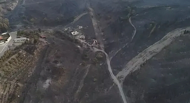 Orman yangını 3 ncü gününde 