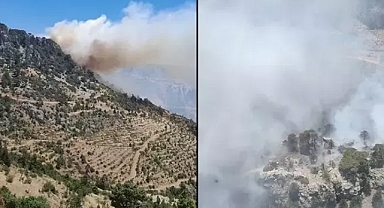 Orman yangını mersin de