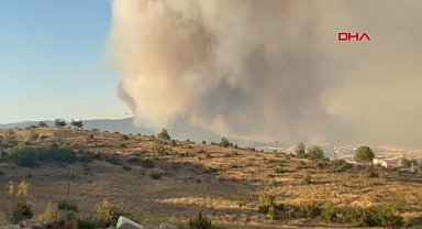 Orman Yangınlarına Dair Açıklama