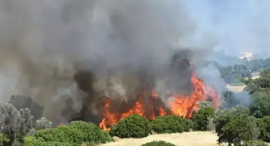 Ormanlar yandı rekor geldi izmir de 26 bin hektarlık alan yok oldu 
