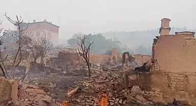Sakarya'da ormanlar yanıyor yangın ikinci güne ulaştı 