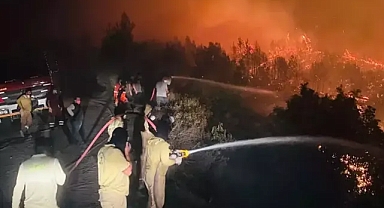 Suriyede ki orman yangını yeniden türkiye sınırına ulaştı 