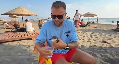 Tehlikedeki kuş zamanında müdahaleyle kurtarıldı 