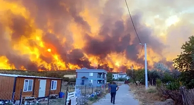 Tekirdağ'da başlayan orman yangını Çanakkale sınırına geçti