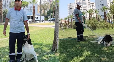 Temizlik görevlisinden sokak köpeğine sevgi 