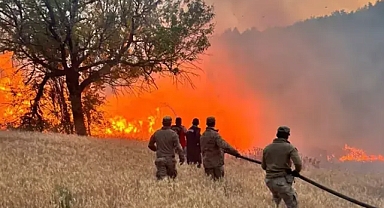 Türkiye'de orman yangınıyla ilişkili 4 kişi tutuklandı 