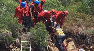Türkiye de orman yangınlarında görev alan tunuslu öğrenci yaralandı 