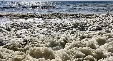Uzmanlar uyardı körfezdeki köpüklenme doğal bir süreç 