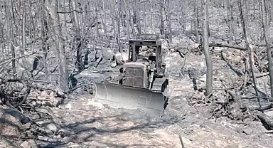 Vatan için can verenler yangın alanından yansıyan acı gerçekler 