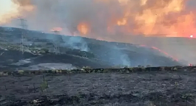 Yangın Zeytinliklere Ulaşmadan Kontrol Altına Alındı