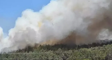 Yangında atmosfere yayılan en riskli kirleticilerin zararları 