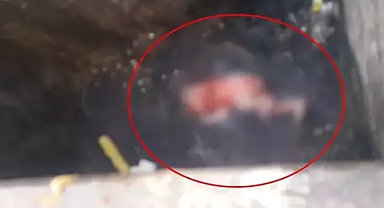 Yeni doğmuş bebeği çöpe bıraktı esnaf fark etti anne gözaltına alındı 