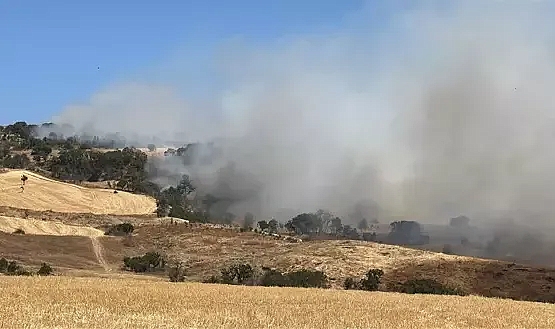 Çanakkale'de tarım arazisinde yangın